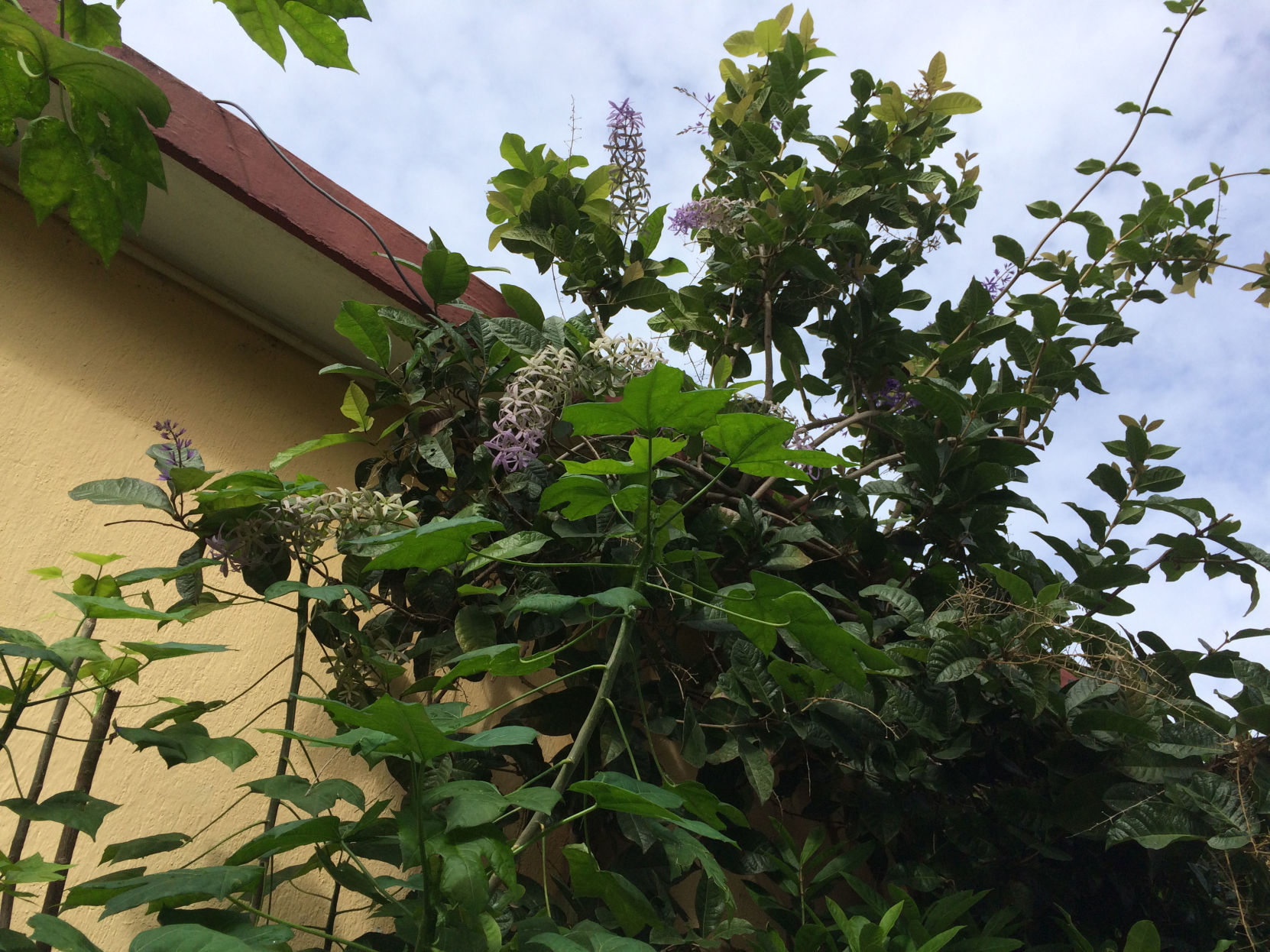 Keinath gardening